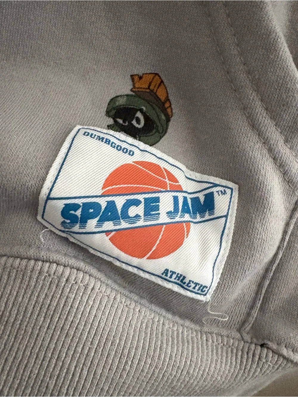 SpaceJam Tune Squad Looney Tunes Pullover Gray Hoodie Sweatshirt Small